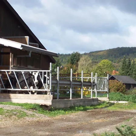 公寓 Bauernhofpension Buechsenschuetz *